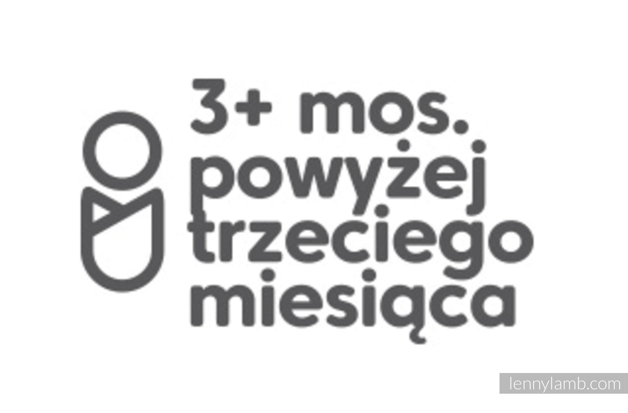 Image title